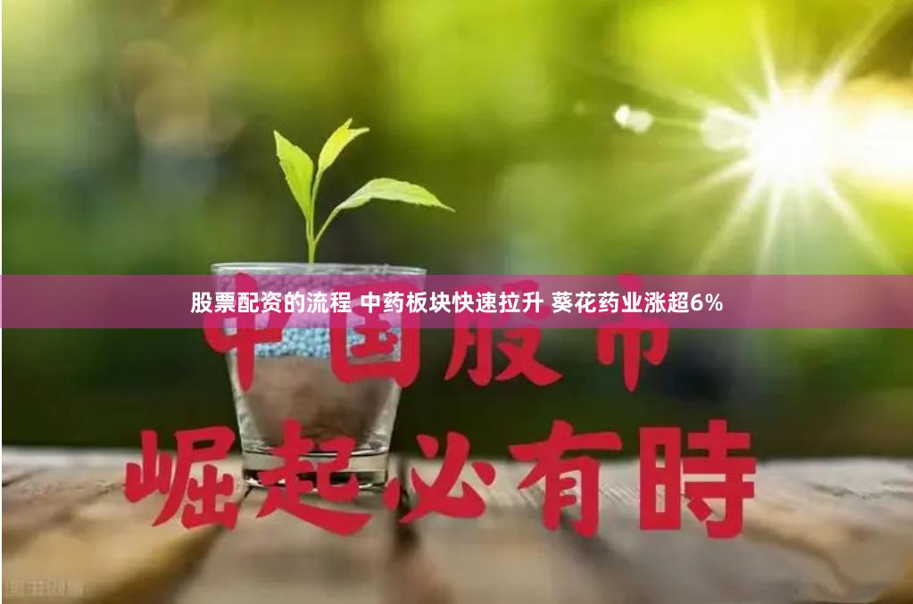 股票配资的流程 中药板块快速拉升 葵花药业涨超6%